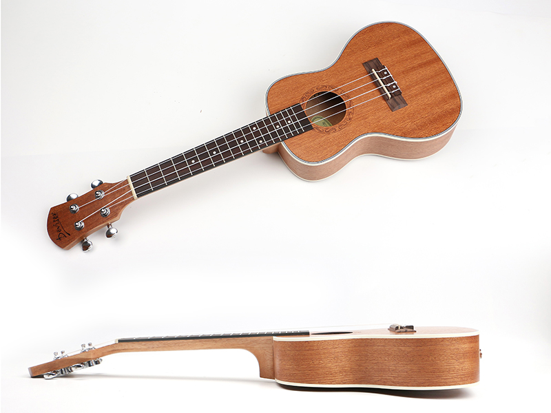 Best Concert Ukulele for Beginners