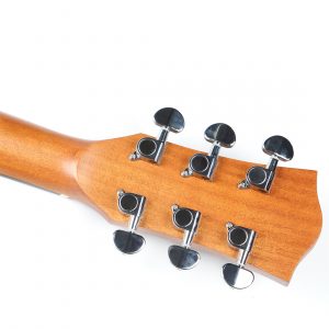 LS-161N-EQ 2
