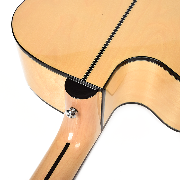 Acoustic Guitar-Factory Wholesale W-800S-420-5